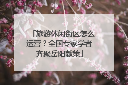 旅游休闲街区怎么运营？全国专家学者齐聚岳阳献策