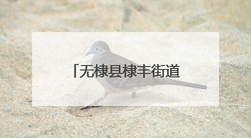 无棣县棣丰街道馨安社区举办“6·9国际档案日”主题活动