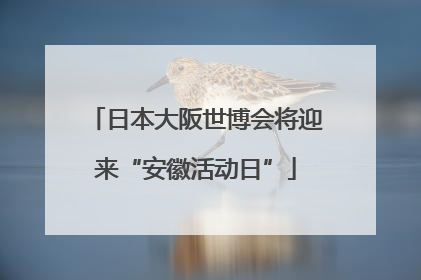 日本大阪世博会将迎来“安徽活动日”
