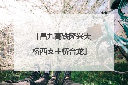 昌九高铁隆兴大桥西支主桥合龙