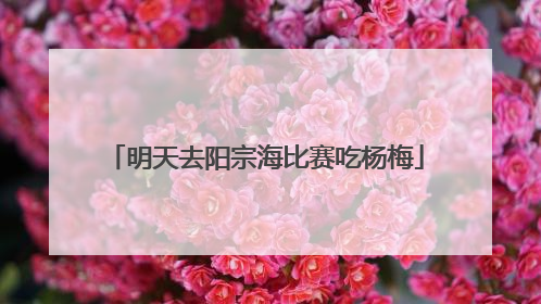 明天去阳宗海比赛吃杨梅