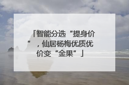 智能分选“提身价”，仙居杨梅优质优价变“金果”