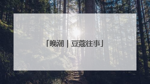 晚潮｜豆蔻往事