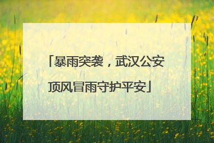 暴雨突袭，武汉公安顶风冒雨守护平安