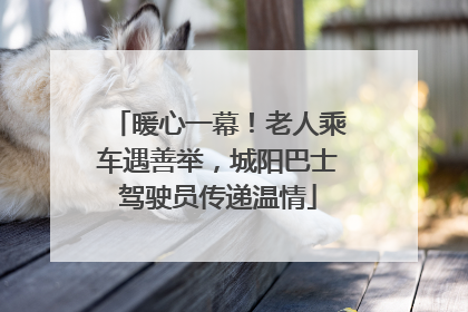 暖心一幕！老人乘车遇善举，城阳巴士驾驶员传递温情