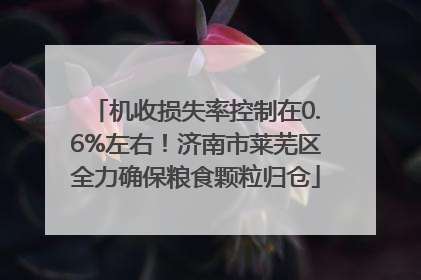 机收损失率控制在0.6%左右！济南市莱芜区全力确保粮食颗粒归仓