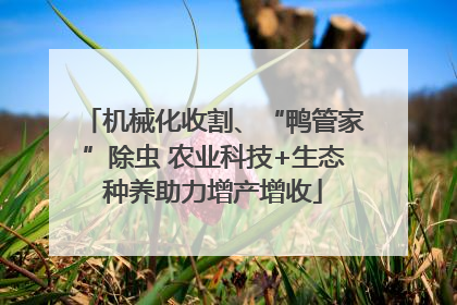 机械化收割、“鸭管家”除虫 农业科技+生态种养助力增产增收