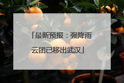 最新预报：强降雨云团已移出武汉