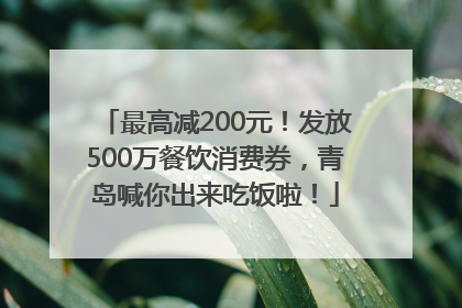最高减200元！发放500万餐饮消费券，青岛喊你出来吃饭啦！