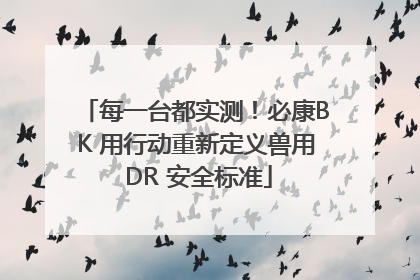 每一台都实测！必康BK 用行动重新定义兽用 DR 安全标准