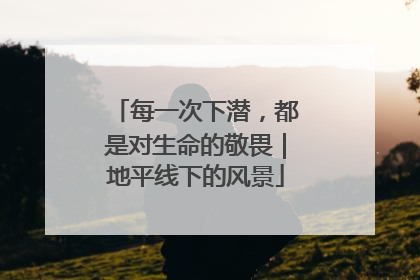 每一次下潜，都是对生命的敬畏｜地平线下的风景