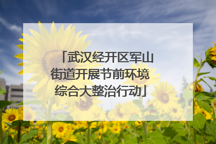 武汉经开区军山街道开展节前环境综合大整治行动
