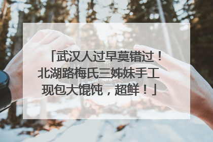 武汉人过早莫错过！北湖路梅氏三姊妹手工现包大馄饨，超鲜！