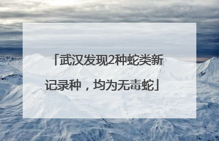 武汉发现2种蛇类新记录种，均为无毒蛇