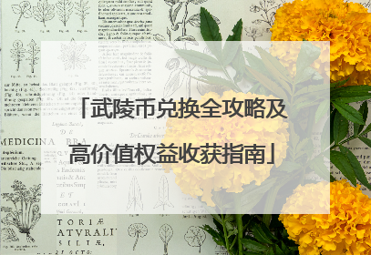 武陵币兑换全攻略及高价值权益收获指南