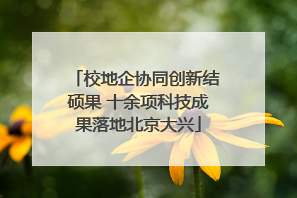 校地企协同创新结硕果 十余项科技成果落地北京大兴
