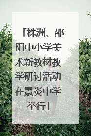 株洲、邵阳中小学美术新教材教学研讨活动在景炎中学举行