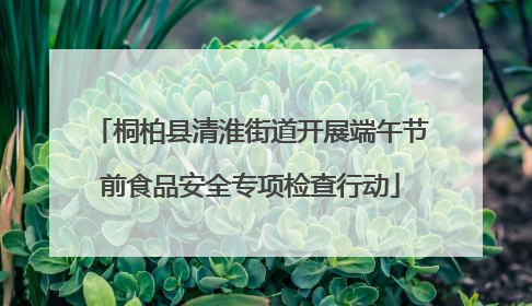 桐柏县清淮街道开展端午节前食品安全专项检查行动