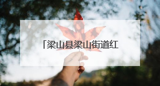 梁山县梁山街道红旗社区良嘉小区开展“艾草传情·粽暖人心”主题活动