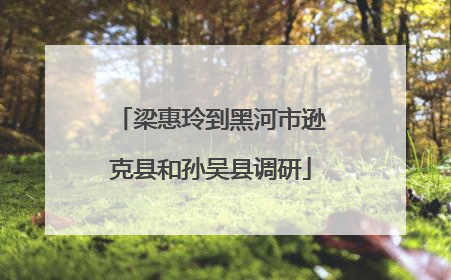 梁惠玲到黑河市逊克县和孙吴县调研