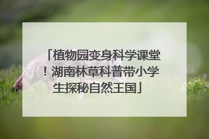 植物园变身科学课堂！湖南林草科普带小学生探秘自然王国