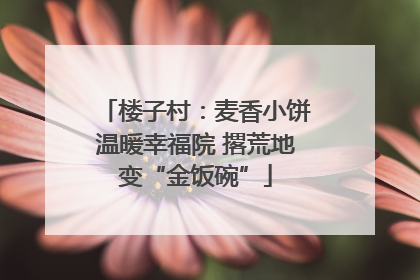 楼子村：麦香小饼温暖幸福院 撂荒地变“金饭碗”