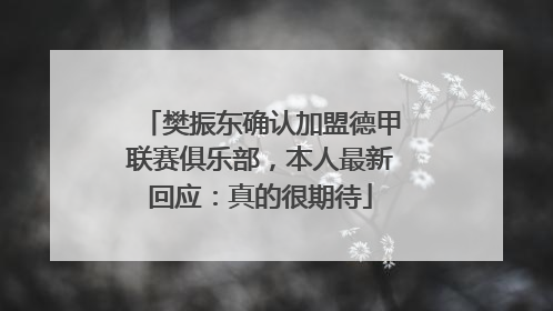 樊振东确认加盟德甲联赛俱乐部，本人最新回应：真的很期待