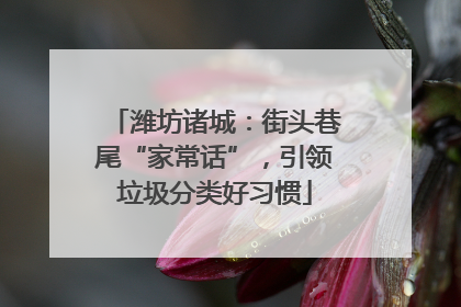 潍坊诸城：街头巷尾“家常话”，引领垃圾分类好习惯