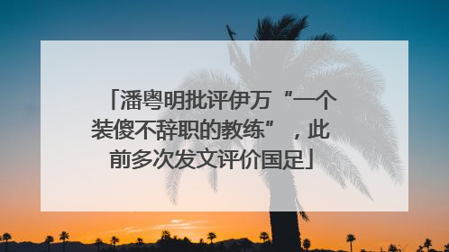 潘粤明批评伊万“一个装傻不辞职的教练”，此前多次发文评价国足