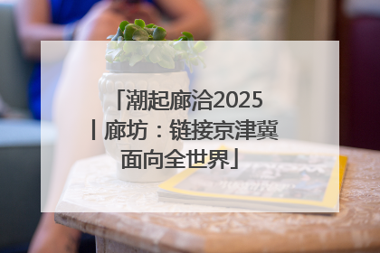 潮起廊洽2025丨廊坊：链接京津冀 面向全世界