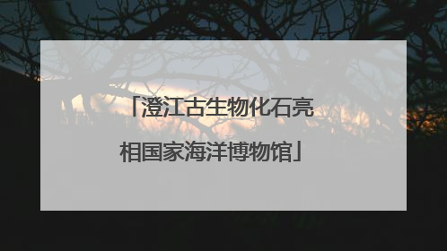 澄江古生物化石亮相国家海洋博物馆