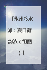 永州冷水滩：夏日荷韵浓（组图）