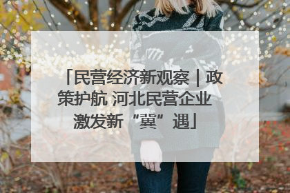 民营经济新观察｜政策护航 河北民营企业激发新“冀”遇