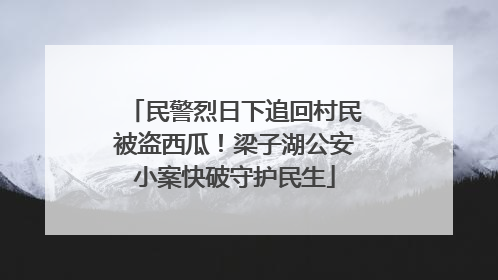民警烈日下追回村民被盗西瓜！梁子湖公安小案快破守护民生