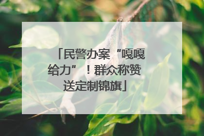 民警办案“嘎嘎给力”！群众称赞送定制锦旗