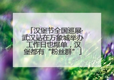 汉堡节全国巡展·武汉站在万象城举办 工作日也爆单，汉堡都有“粉丝群”