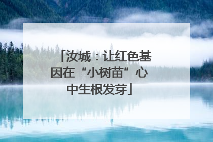 汝城：让红色基因在“小树苗”心中生根发芽