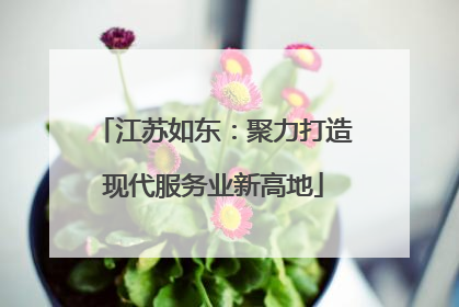 江苏如东：聚力打造现代服务业新高地