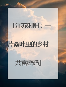 江苏射阳：一片桑叶里的乡村共富密码