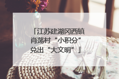江苏建湖冈西镇肖荡村“小积分”兑出“大文明”
