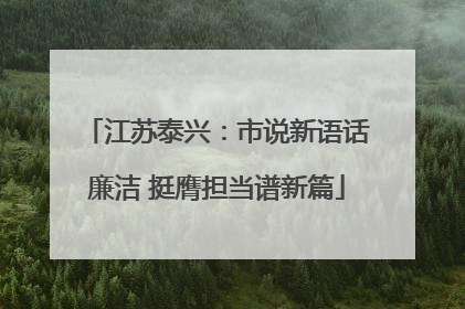 江苏泰兴：市说新语话廉洁 挺膺担当谱新篇