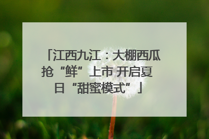 江西九江：大棚西瓜抢“鲜”上市 开启夏日“甜蜜模式”