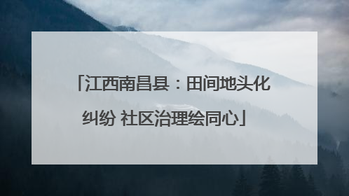 江西南昌县：田间地头化纠纷 社区治理绘同心
