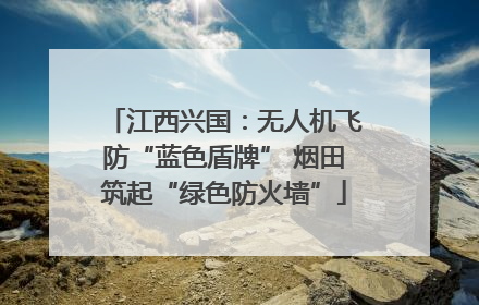 江西兴国：无人机飞防“蓝色盾牌” 烟田筑起“绿色防火墙”