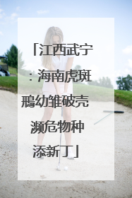 江西武宁：海南虎斑鳽幼雏破壳 濒危物种添新丁