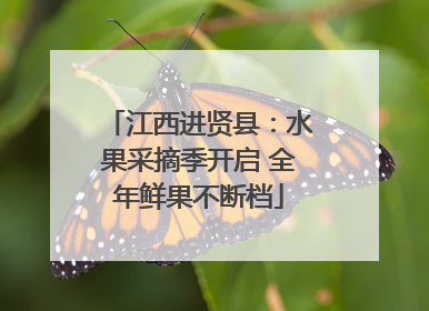 江西进贤县：水果采摘季开启 全年鲜果不断档