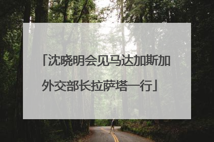 沈晓明会见马达加斯加外交部长拉萨塔一行