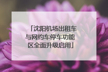 沈阳机场出租车与网约车停车功能区全面升级启用