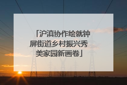 沪滇协作绘就钟屏街道乡村振兴秀美家园新画卷