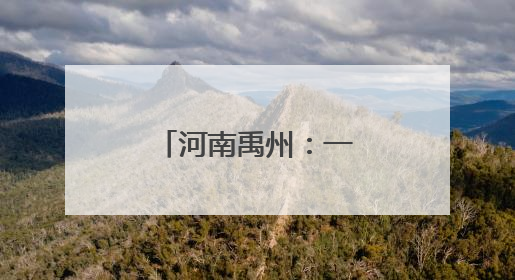 河南禹州：一缕发丝“织就”过亿产业